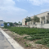 Cần Tìm Chủ Nhân Lô Đất Mai Hiên - Mai Lâm. 83M2, Gần Đường Dẫn Cầu Tứ Liên. Giá Đầu Tư.