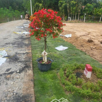 Bán Đất Tại Xã Long Tân, 690 Triệu, 220 M2 Hàng Hot Bao Đẹp