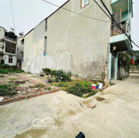 Bán Gấp 69M2 Đất Lực Canh, Xuân Canh Sát Vin Cổ Loa Ô Tô Đỗ Cửa