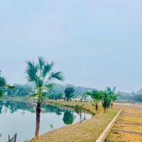 Cần Bán Đất View Hồ Đồng Mô Rất Đẹp