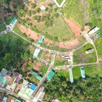 Bán Gấp Lô Đất Giá Tốt Tại Lộc An- Bảo Lâm -Lâm Đồng.0984585360