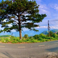 Bán Đất Tại Phú Sơn, Lâm Hà, Giá Cực Chất 5,5 Tỷ, Diện Tích 22000 M2