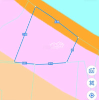 Bán 2000M2 Cây Lâu Năm (Cln) Đường Đá Xanh Chuẩn Bị Lên Nhựa 8M Mặt Tiền 50 M View Sông Vàm Cỏ