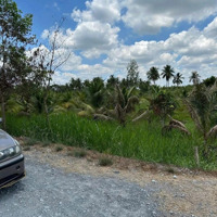 Bán 2000M2 Cây Lâu Năm (Cln) Đường Đá Xanh Chuẩn Bị Lên Nhựa 8M Mặt Tiền 50 M View Sông Vàm Cỏ