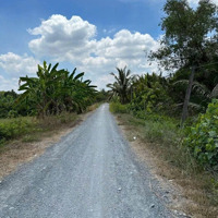 Bán 2000M2 Cây Lâu Năm (Cln) Đường Đá Xanh Chuẩn Bị Lên Nhựa 8M Mặt Tiền 50 M View Sông Vàm Cỏ