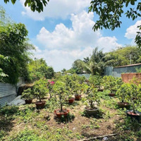 Chính Chủ Bán Đất Sát Trường Đông Hoà C Gần Quốc Lộ 1K Giá 6 Triệu/M2 Liên Hệ 0909170304