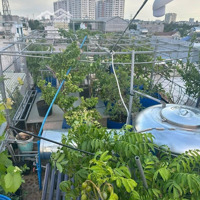 Nguyễn Thị Thập Gần Lotte Mart Quận 7, Nhà Đẹp Quên Sầu, 4.4X11.8M, 3 Tầng, 3 Tỷ 650