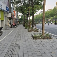 (Hàng Đàu Tư) Bán Nhà Mặt Phố Xã Đàn, 160M2, Mặt Tiền 10M, 61,5 Tỷ Giá Siêu Hời