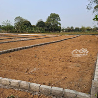 Bán Đất Ở Nghỉ Dưỡng Thạch Cẩm Thạch Thành Thanh Hoá Giá Bán 195 Triệu Bao Sổ 125M2 Ô Tô Vào Tận Nơi