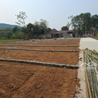 Bán Đất Ở Nghỉ Dưỡng Thạch Cẩm Thạch Thành Thanh Hoá Giá Bán 195 Triệu Bao Sổ 125M2 Ô Tô Vào Tận Nơi