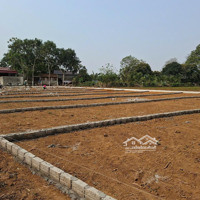 Bán Đất Ở Nghỉ Dưỡng Thạch Cẩm Thạch Thành Thanh Hoá Giá Bán 195 Triệu Bao Sổ 125M2 Ô Tô Vào Tận Nơi