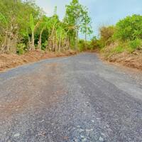 160M BÁM ĐƯỜNG GẦN LÀNG BÌNH YÊN( ANH ĐÀO FARM) VIEW SÔNG SEREPOK GỒM 160m MẶT ĐƯỜNG ĐÁ DĂM  dt 5.400m2 giá #180tr/1 sào  đường xá thuận lợi cho tất cả loại xe (đường rộng 6m)