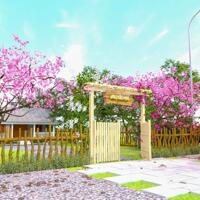 160M BÁM ĐƯỜNG GẦN LÀNG BÌNH YÊN( ANH ĐÀO FARM) VIEW SÔNG SEREPOK GỒM 160m MẶT ĐƯỜNG ĐÁ DĂM  dt 5.400m2 giá #180tr/1 sào  đường xá thuận lợi cho tất cả loại xe (đường rộng 6m)