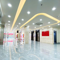 Tn 3,6 Tỷ/ Năm! Bán Tòa Nhà Mặt Tiền Tô Ngọc Vân, Thủ Đức (15X40M) Hầm 4Tầng Hđt 300 Triệu/Th Giá Bán 65 Tỷ
