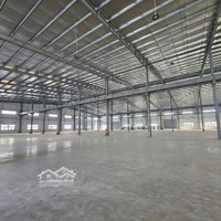 Cho Thuê Xưởng 10.000M2 Bình Chánh - Pccc - Xe Cont