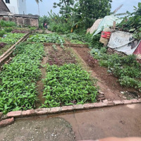 Đất Thọ Xuân Đan Phượng, 191M2, Ngay Kdc An Ninh, Gần Hồ Điều Hoà Cực Lớn, 16 Triệu/M2. Liên Hệ: 0988191661