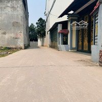 Chính Chủ Bán 114M2 Đất Đạc Tài Mai Đình Đường 4.5M Thông Cách Bìa Làng 20M