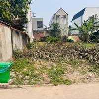 Chính Chủ Bán 114M2 Đất Đạc Tài Mai Đình Đường 4.5M Thông Cách Bìa Làng 20M