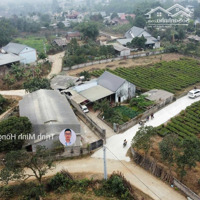 Bán Lô Đất 487.9M Mặt Tiền 12.3M Tại Thôn Chóng, Yên Bài. Đất Có 150M Thổ Cư. Vị Trí Quy Hoạch Đẹp