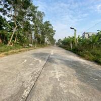 Bán đất phân lô tại Kim Long, Tam Dương, Vĩnh Phúc. Giá chỉ 2 tỷ