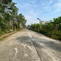 Bán đất phân lô tại Kim Long, Tam Dương, Vĩnh Phúc. Giá chỉ 2 tỷ