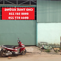 Nhà Xưởng Cho Thuê Bình Mỹ, Cu Chi. Diện Tích: 300M Giá Bán 8 Triệu, 600M Giá Bán 18 Triệu, 1000M Giá Bán 30 Tr. Liên Hệ: 0908561228