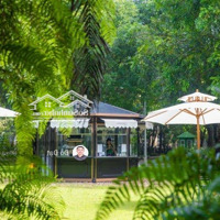 Bán Căn Hộ 60M2 Tòa Lake Khu Aquabay. View Hồ, Hướng Đông Nam. Nhà Đủ Đồ, Giá Chỉ 3 Tỷ Bao Phí.