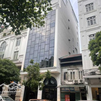 Bán Gấp Nhà Hơn 230M2 Xây Mới Hơn 10 Tầng Mặt Phố Triệu Việt Vương