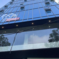 Bán Gấp Nhà Hơn 230M2 Xây Mới Hơn 10 Tầng Mặt Phố Triệu Việt Vương