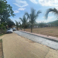 200-250 Triệu/1 Lô Đất Nền Tại Trung Tâm Xã Thạch Cẩm - Huyện Thạch Thành - Tỉnh Thanh Hoá.