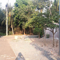 Bán Đất Ngay Ql50, Đường Bờ Bao, Xã Phong Phú, Bình Chánh, 5,5 Tỷ, 83,6 M2, Lô Góc, Hướng Sông Đẹp