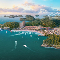 Chưa Đến 2 Tỷ Sở Hữu Ngay Căn Hộ Xanh Island Cát Bà View Biển 35M2, Trung Tâm, Nội Thất Cao Cấp