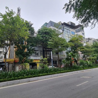 Cho Thuê Nhà 3 Tầng Mặt Phố Lạc Long Quân, Tây Hồ, Hà Nội Vị Trí Cực Đẹp! Diện Tích: 500M²