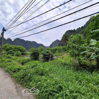 Bán Đất Làm Homestay, Làm Nhà Ở Tại Xã Trường Yên, Hoa Lư, Ninh Bình