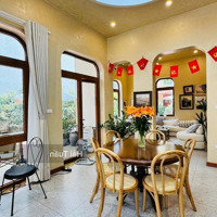 Chính Chủ Bán Nhà Lạc Long Quândiện Tích748M2,Mặt Tiền20.5M, 2 Mặt Tiền, Kinh Doanh Sầm Uất