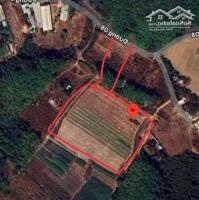 BÁN ĐẤT XÂY XƯỞNG VĨNH TÂN – TÂN UYÊN BÌNH DƯƠNG | 15.172M² ĐÃ CÓ GPXD – PCCC – GPMT – CHỦ TRƯƠNG GỖ & CƠ KHÍ. Liên hệ: Chothuexuongmiennam.com - 0366632092