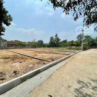 Bán Đất Trại Láng, Đồng Trạng Cổ Đông Sơn Tây 100M2 Và 155M2 Thổ Cư 100% Từ 28 Triệu/M2 0977514027