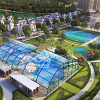 Chỉ 18 Tỷ Sở Hữu Biệt Thự Ngọc Trai 08 Đảo Lớn Tại Dự Án Vinhomes Ocean Park Gia Lâm
