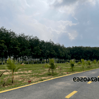 Đất nền mặt tiền Tân Định – Bến Cát, sổ riêng, giá mềm, đầu tư siêu lợi nhuận!