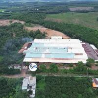 Bán Xưởng Tân Mỹ : 10Ha ( Xưởng 1.4Ha ) Đang Làm Gạch - Để Lại Máy Móc Liên Hệ: 0933.35.9968