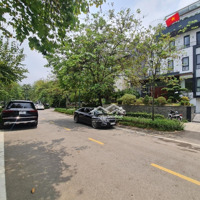 Biệt Thự Siêu Sang Khu Q Ciputra Diện Tích 400M 5 Tầng Giá Chỉ 146 Tỷ