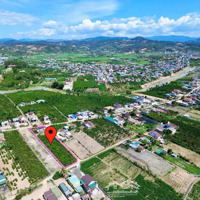 439 Triệu Sở Hữu Ngay Lô Đất Thổ Cư 105M2, Gần Trung Tâm Huyện Lâm Hà, Sổ Riêng Sang Tên Ngay