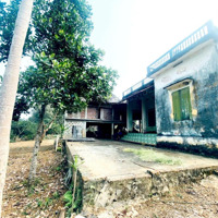 Đất Sẵn Nhà Chỉ Hơn 1 Tỷ,Diện Tích1883M2 Tại Cao Phong, Hòa Bình. Lô Đất Đẹp Mặt Tiền Thôn, Cách Hn 80Km