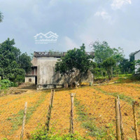 Đất Sẵn Nhà Chỉ Hơn 1 Tỷ,Diện Tích1883M2 Tại Cao Phong, Hòa Bình. Lô Đất Đẹp Mặt Tiền Thôn, Cách Hn 80Km