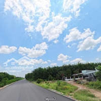 Chính Chủ Cho Thuê Đất Dài Hạn Mặt Tiền Đường Hồ Chí Minh, Trừ Văn Thố, Bàu Bàng, Bình Dương