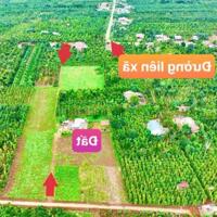 Ea BHốk- Cư Kuin- Đắk Lắk dt 11*50m sẵn 100m2 thổ cư đường ô tô tới đất tiện ích đầy đủ chỉ 369tr bao sổ