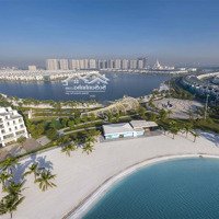 Nhà Đầu Tư F0 Có Nên Tham Gia Vào Bất Động Sản Tại Vinhomes Ocean Park 1 2 3 Không?