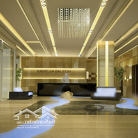 Cực Hót. Cho Thuê Cc Richland Southern, 123M2, 3 Phòng Ngủ 16 Triệu Vnd Tại Xuân Thủy, Cầu Giấy, Hà Nội.
