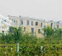 Hàng Hiếm Biệt Thự Liền Kề Vinhomes Ocean Park 2 Đảo Dừa Khu Khép Kín Đẳng Cấp Nhỉnh 10 Tỷmặt Tiền4,5M