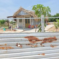 Bán Gấp 789M² Đất Lúa Đã Quy Hoạch Đất Ở Giá Chỉ 1,5 Tỷ Cực Kỳ Tiềm Năng